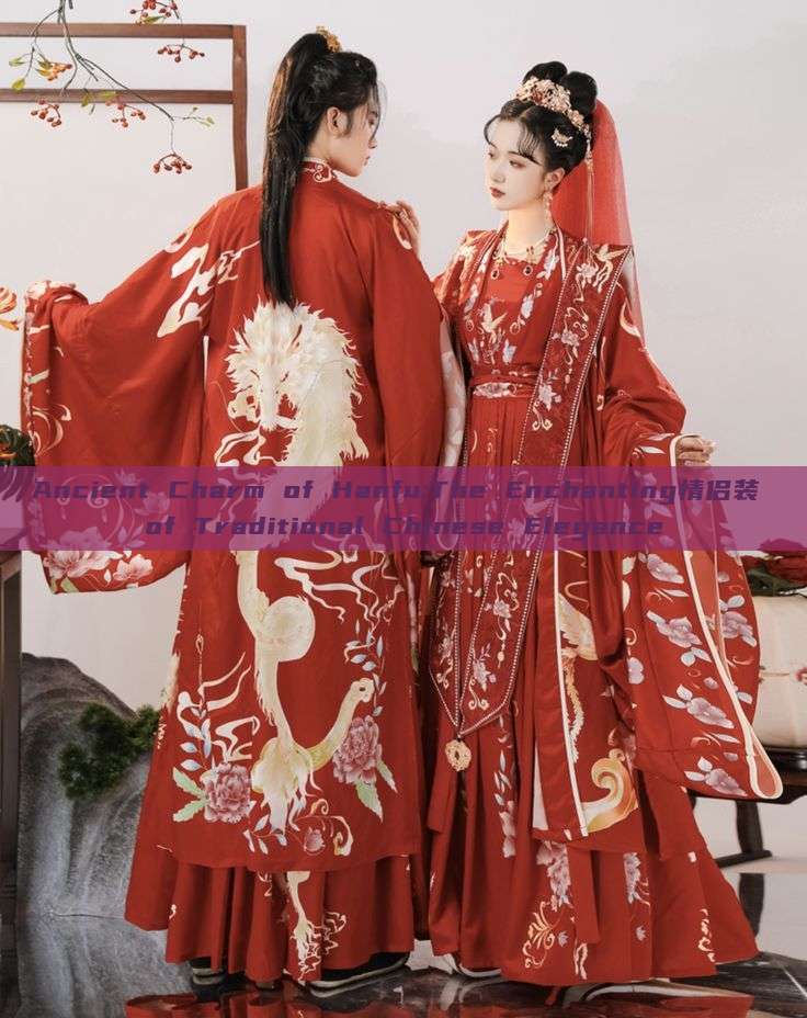 Ancient Charm of Hanfu:The Enchanting情侣装 of Traditional Chinese Elegance Ancient Charm of Hanfu:The Enchanting情侣装 of Traditional Chinese Elegance