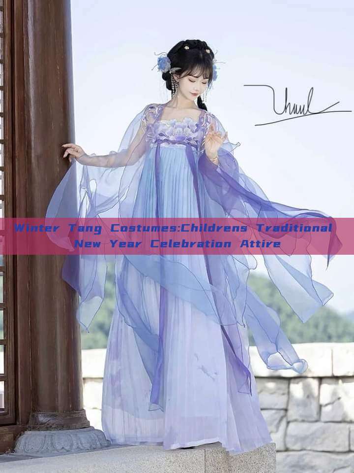 Winter Tang Costumes:Childrens Traditional New Year Celebration Attire Winter Tang Costumes:Childrens Traditional New Year Celebration Attire
