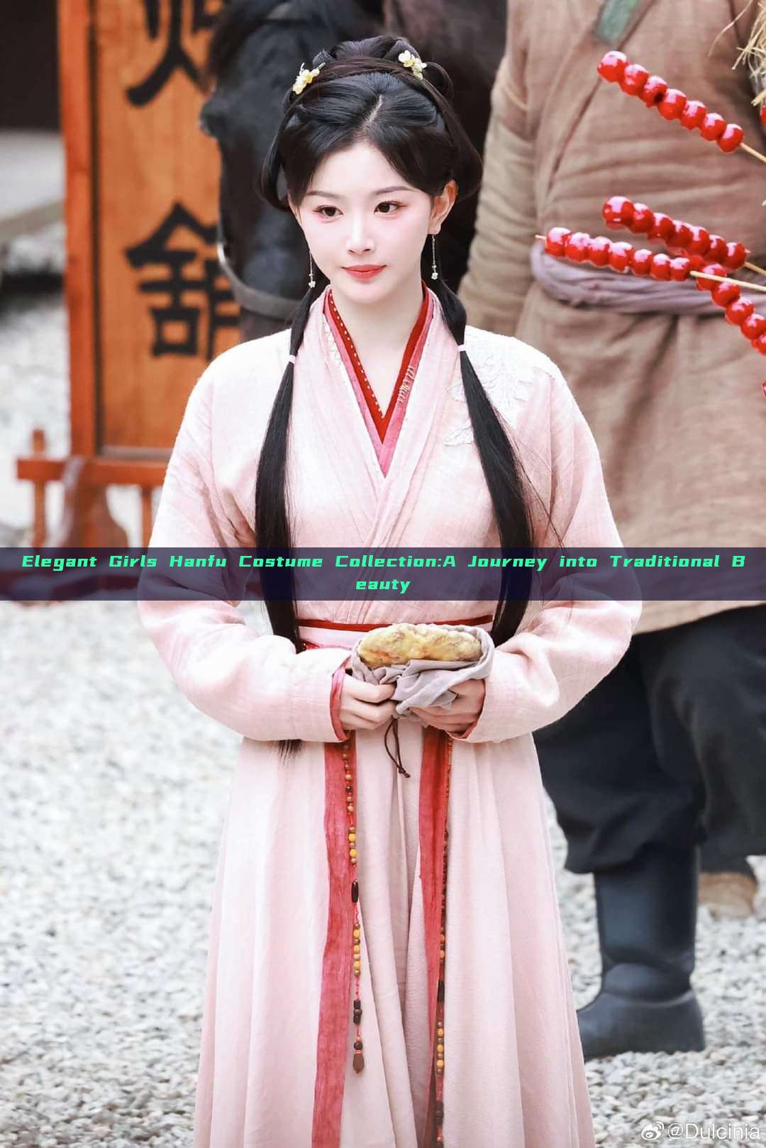 Elegant Girls Hanfu Costume Collection:A Journey into Traditional Beauty Elegant Girls Hanfu Costume Collection:A Journey into Traditional Beauty