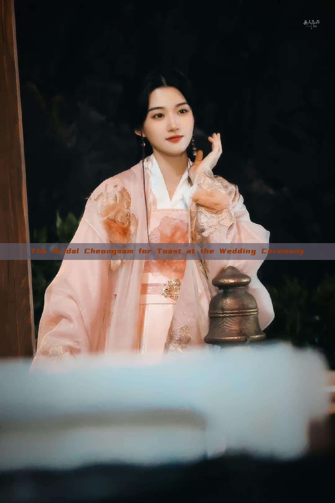 The Bridal Cheongsam for Toast at the Wedding Ceremony The Bridal Cheongsam for Toast at the Wedding Ceremony