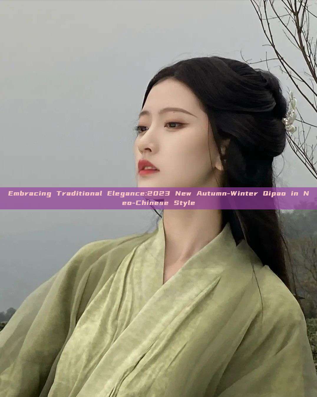Embracing Traditional Elegance:2023 New Autumn-Winter Qipao in Neo-Chinese Style Embracing Traditional Elegance:2023 New Autumn-Winter Qipao in Neo-Chinese Style