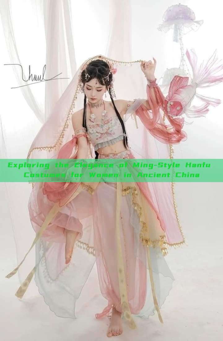 Exploring the Elegance of Ming-Style Hanfu Costumes for Women in Ancient China Exploring the Elegance of Ming-Style Hanfu Costumes for Women in Ancient China