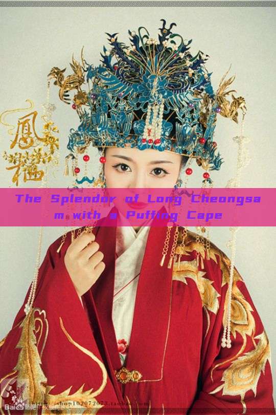 The Splendor of Long Cheongsam with a Puffing Cape The Splendor of Long Cheongsam with a Puffing Cape