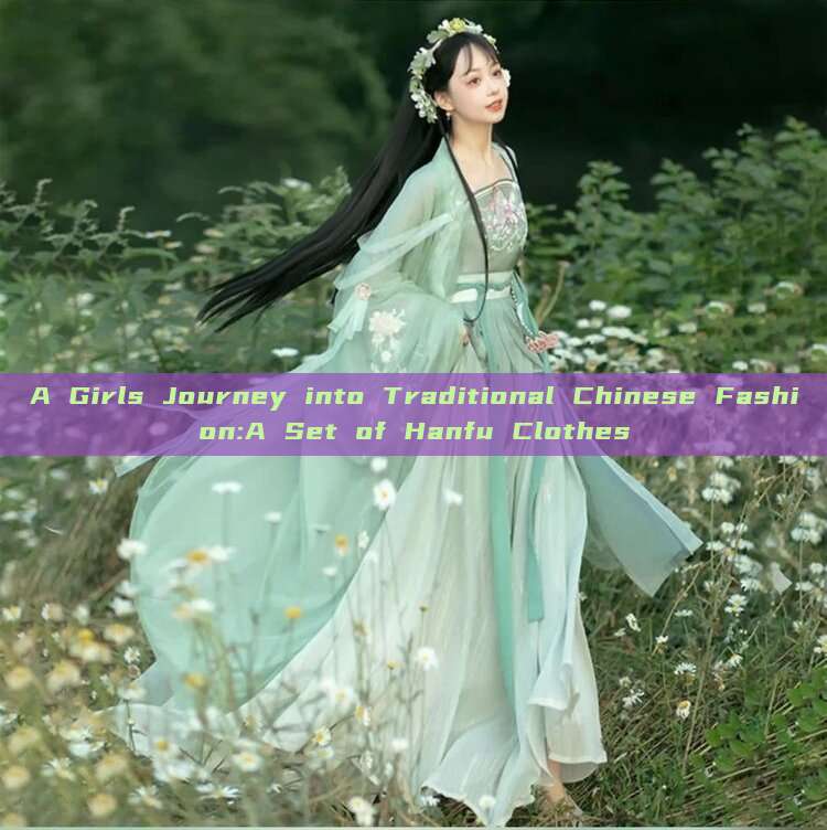 A Girls Journey into Traditional Chinese Fashion:A Set of Hanfu Clothes A Girls Journey into Traditional Chinese Fashion:A Set of Hanfu Clothes