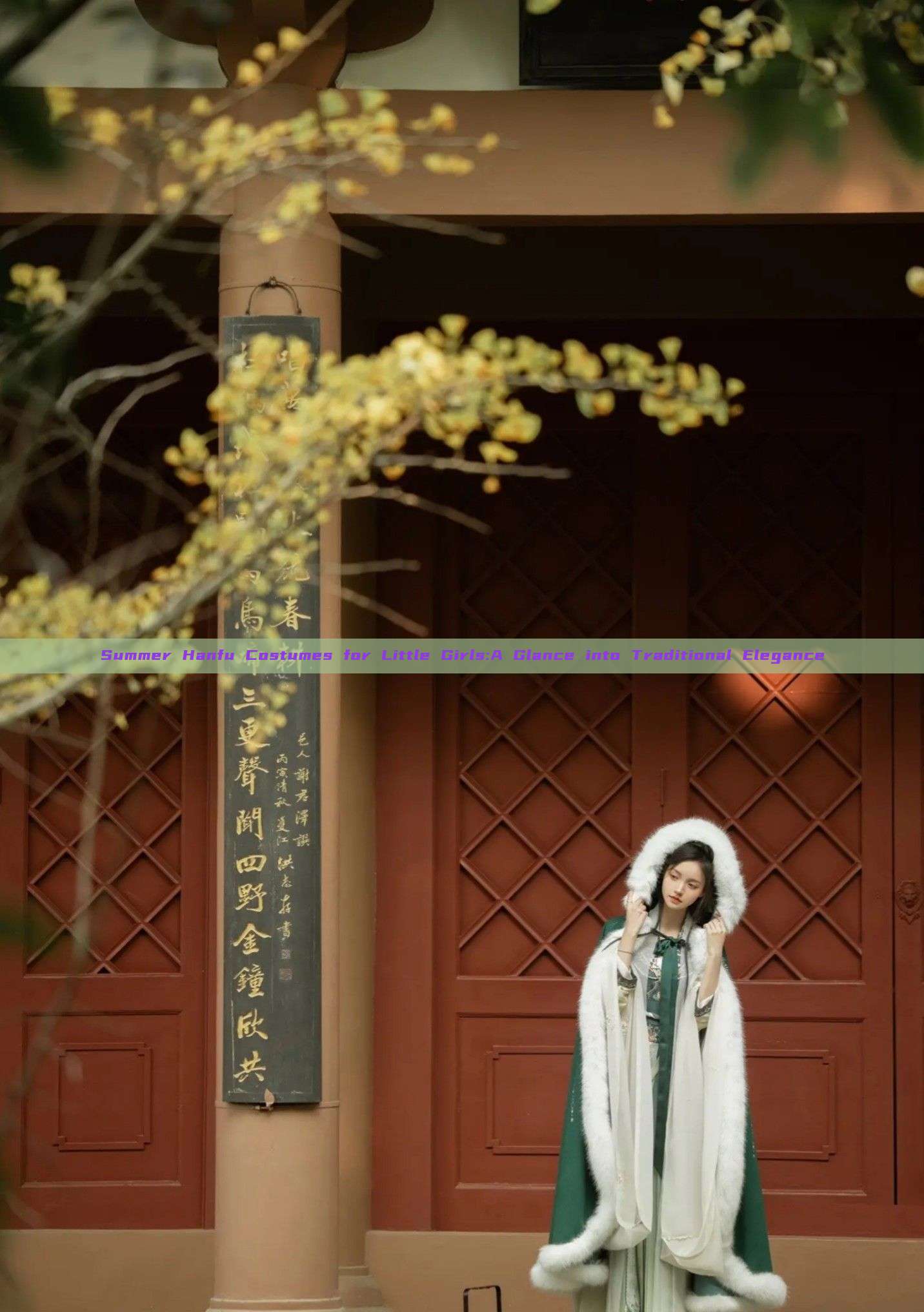 Summer Hanfu Costumes for Little Girls:A Glance into Traditional Elegance Summer Hanfu Costumes for Little Girls:A Glance into Traditional Elegance