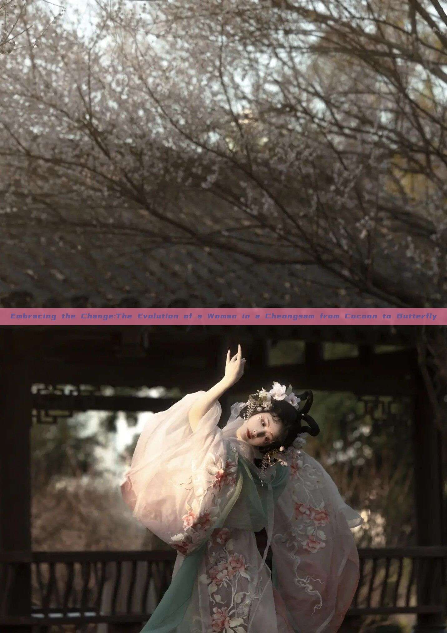 Embracing the Change:The Evolution of a Woman in a Cheongsam from Cocoon to Butterfly Embracing the Change:The Evolution of a Woman in a Cheongsam from Cocoon to Butterfly
