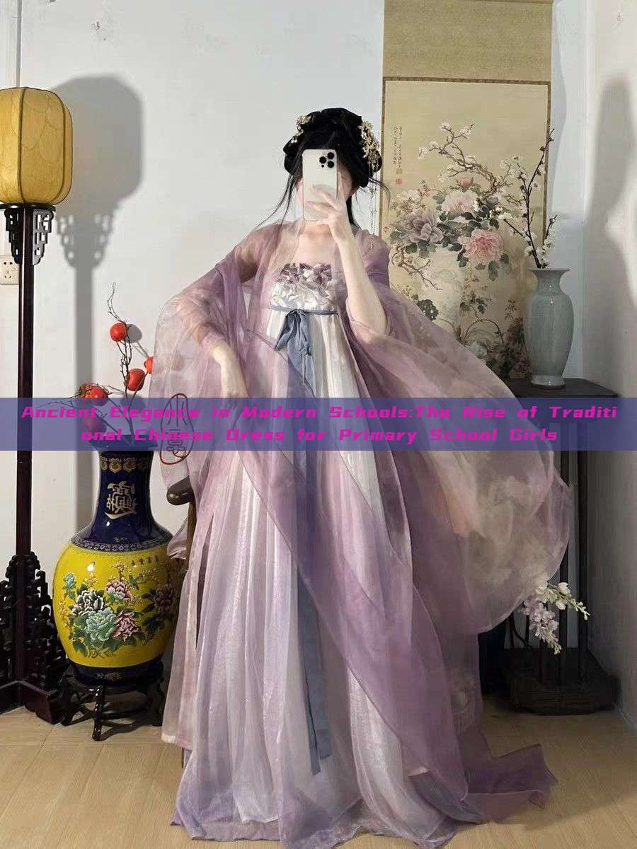 Ancient Elegance in Modern Schools:The Rise of Traditional Chinese Dress for Primary School Girls Ancient Elegance in Modern Schools:The Rise of Traditional Chinese Dress for Primary School Girls