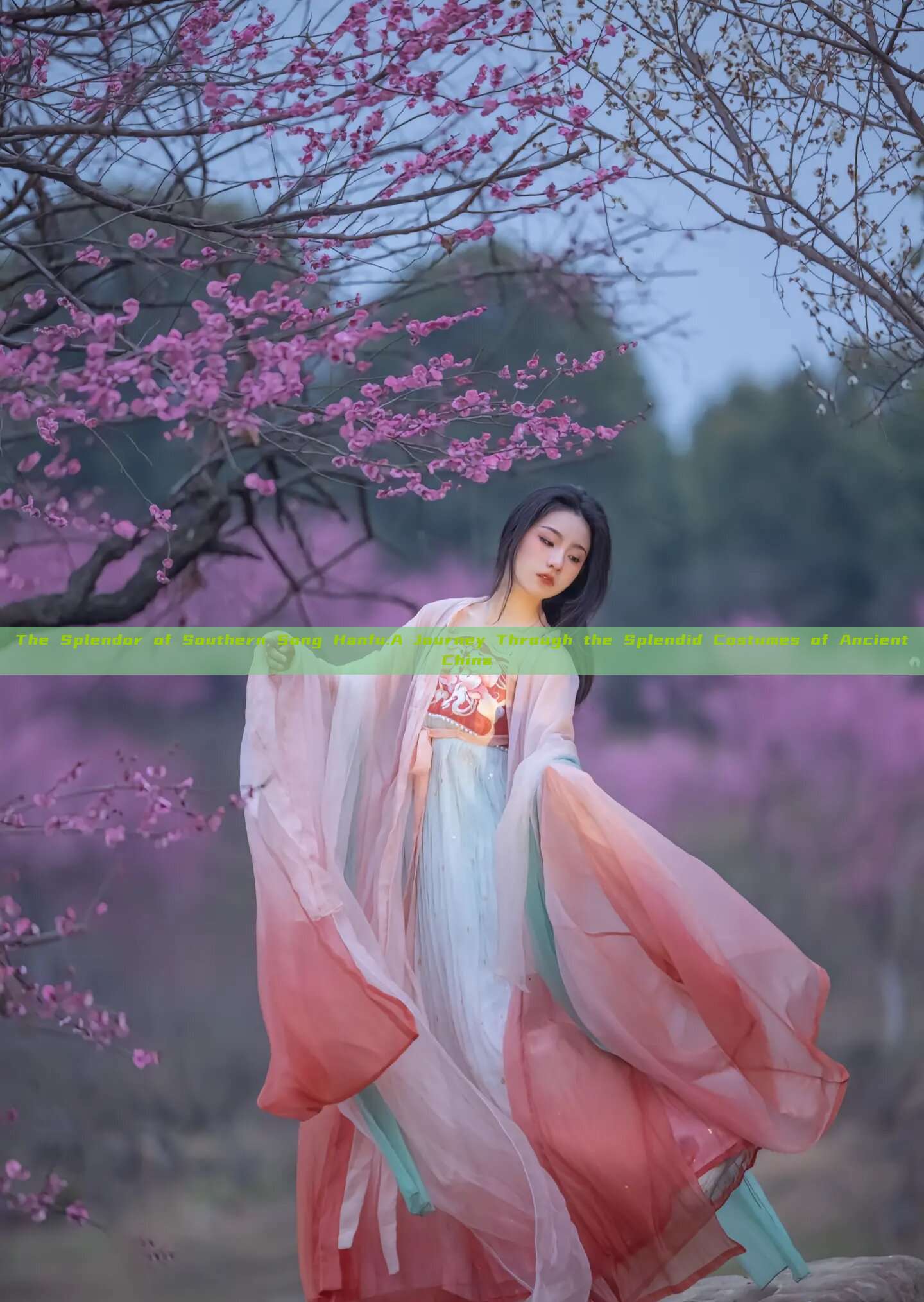 The Splendor of Southern Song Hanfu:A Journey Through the Splendid Costumes of Ancient China The Splendor of Southern Song Hanfu:A Journey Through the Splendid Costumes of Ancient China
