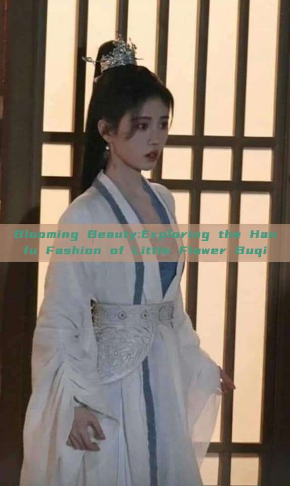 Blooming Beauty:Exploring the Hanfu Fashion of Little Flower Buqi Blooming Beauty:Exploring the Hanfu Fashion of Little Flower Buqi