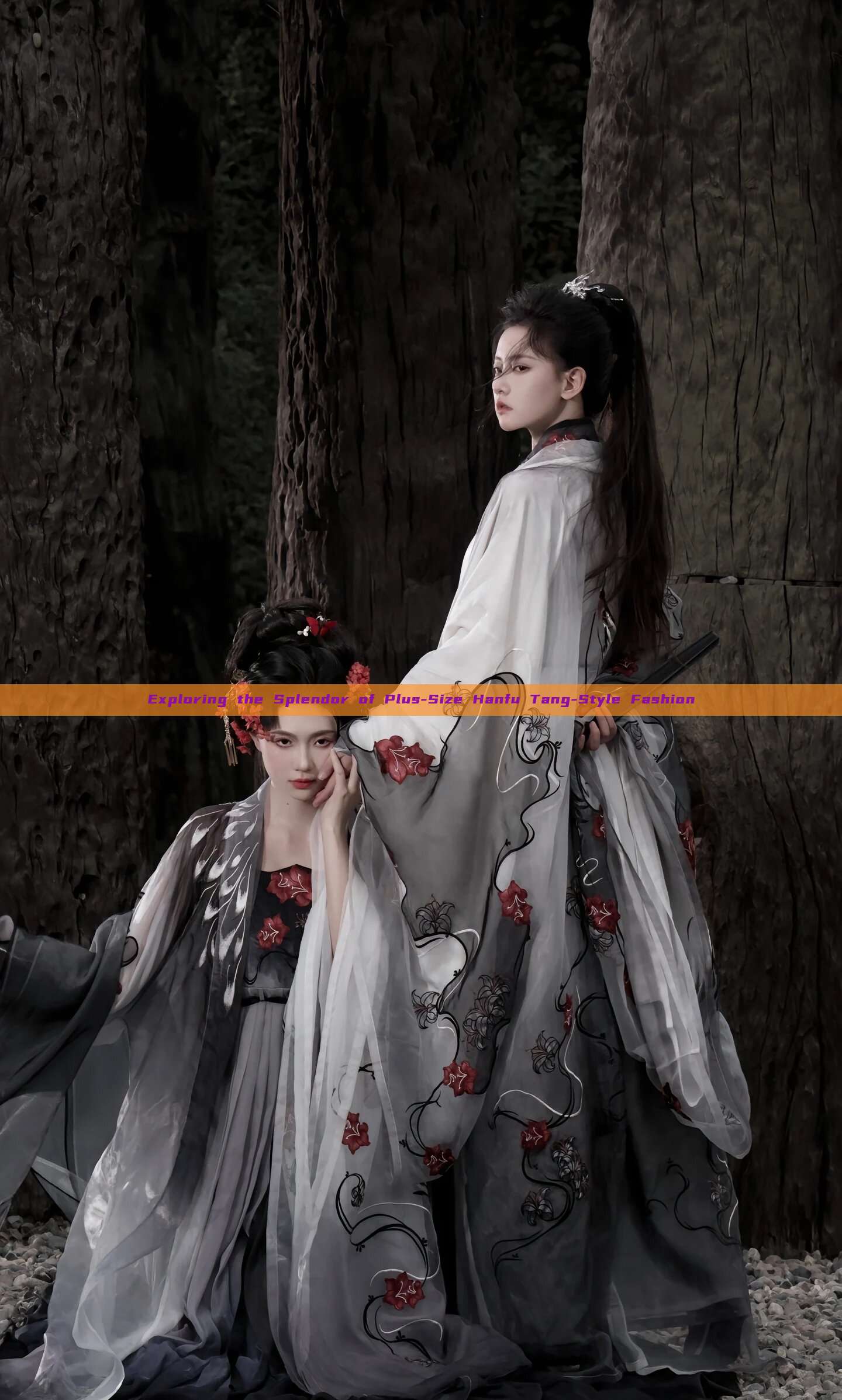Exploring the Splendor of Plus-Size Hanfu Tang-Style Fashion Exploring the Splendor of Plus-Size Hanfu Tang-Style Fashion