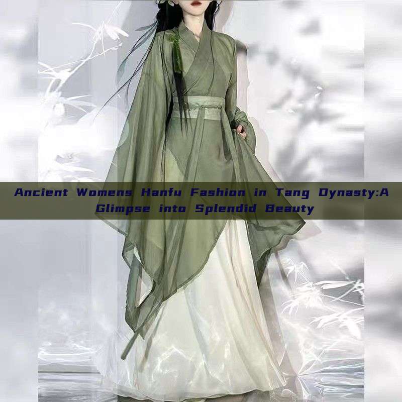 Ancient Womens Hanfu Fashion in Tang Dynasty:A Glimpse into Splendid Beauty Ancient Womens Hanfu Fashion in Tang Dynasty:A Glimpse into Splendid Beauty