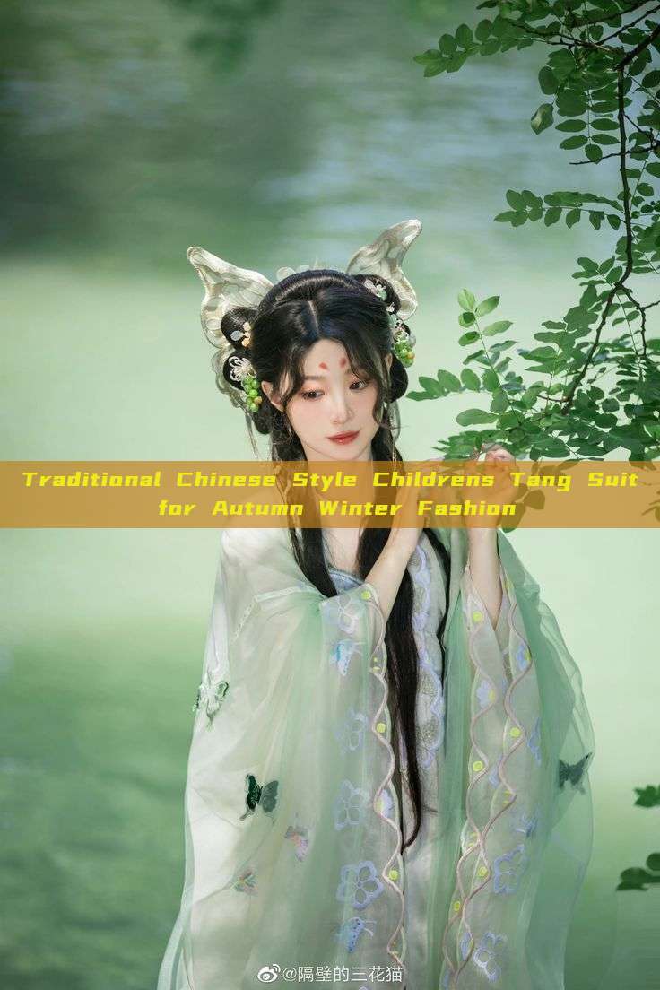Traditional Chinese Style Childrens Tang Suit for Autumn Winter Fashion Traditional Chinese Style Childrens Tang Suit for Autumn Winter Fashion