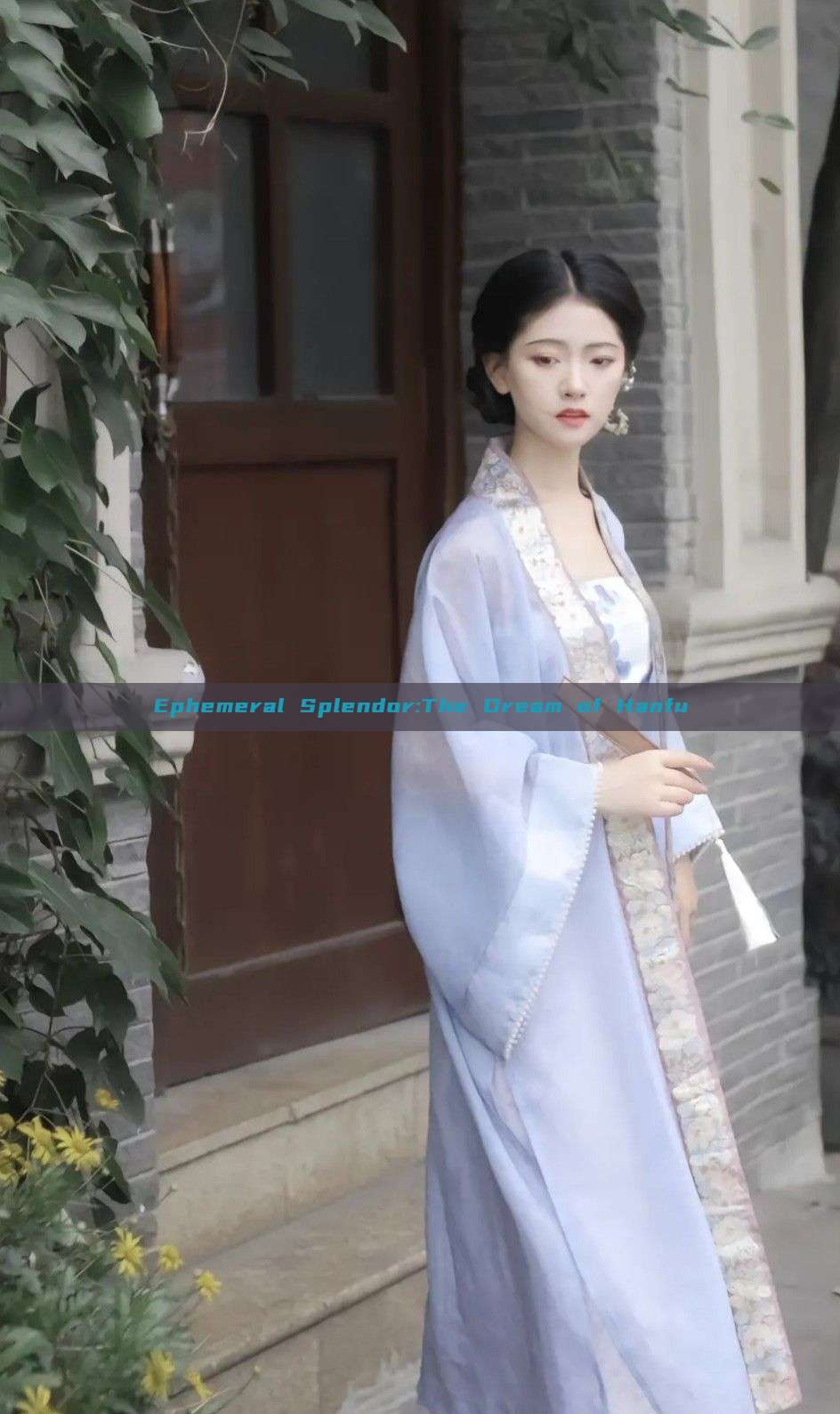 Ephemeral Splendor:The Dream of Hanfu Ephemeral Splendor:The Dream of Hanfu