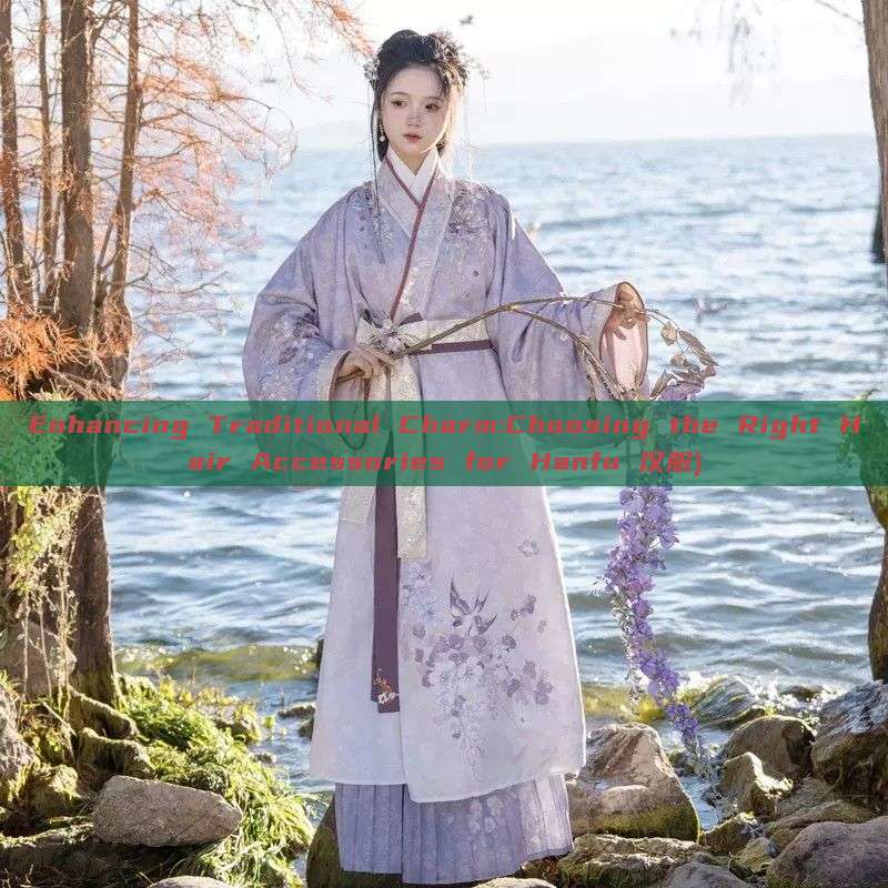 Enhancing Traditional Charm:Choosing the Right Hair Accessories for Hanfu 汉服) Enhancing Traditional Charm:Choosing the Right Hair Accessories for Hanfu 汉服)