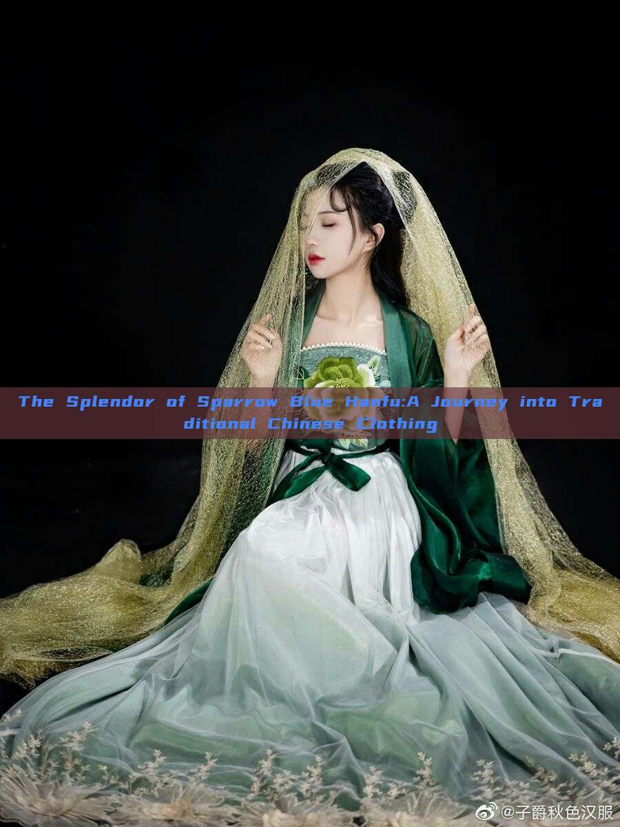 The Splendor of Sparrow Blue Hanfu:A Journey into Traditional Chinese Clothing