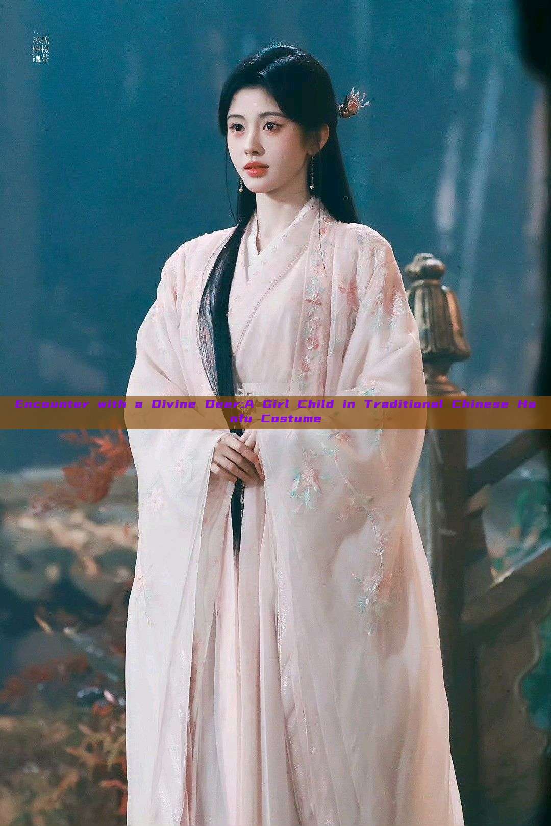 Encounter with a Divine Deer:A Girl Child in Traditional Chinese Hanfu Costume Encounter with a Divine Deer:A Girl Child in Traditional Chinese Hanfu Costume