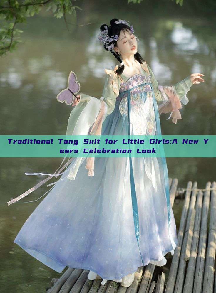 Traditional Tang Suit for Little Girls:A New Years Celebration Look