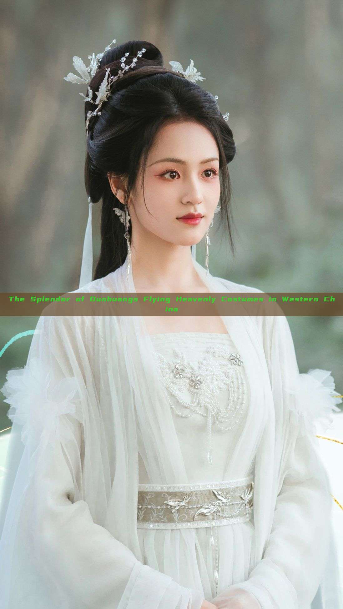 The Splendor of Dunhuangs Flying Heavenly Costumes in Western China