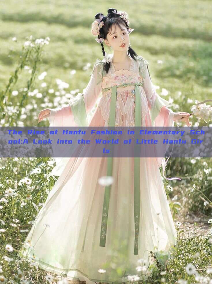 The Rise of Hanfu Fashion in Elementary School:A Look into the World of Little Hanfu Girls