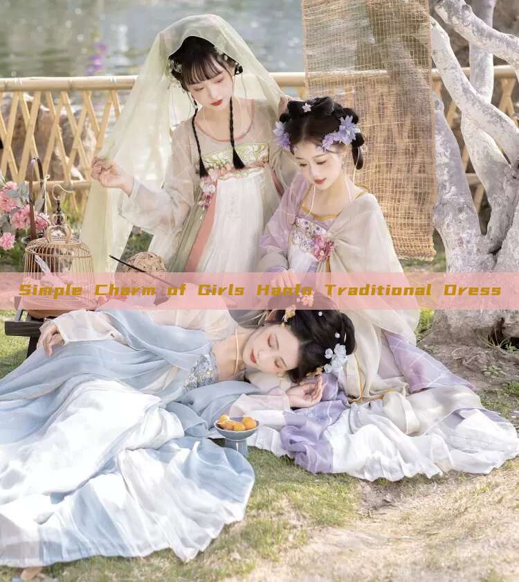 Simple Charm of Girls Hanfu Traditional Dress Simple Charm of Girls Hanfu Traditional Dress
