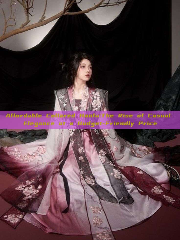 Affordable Collared Hanfu:The Rise of Casual Elegance at a Budget-Friendly Price
