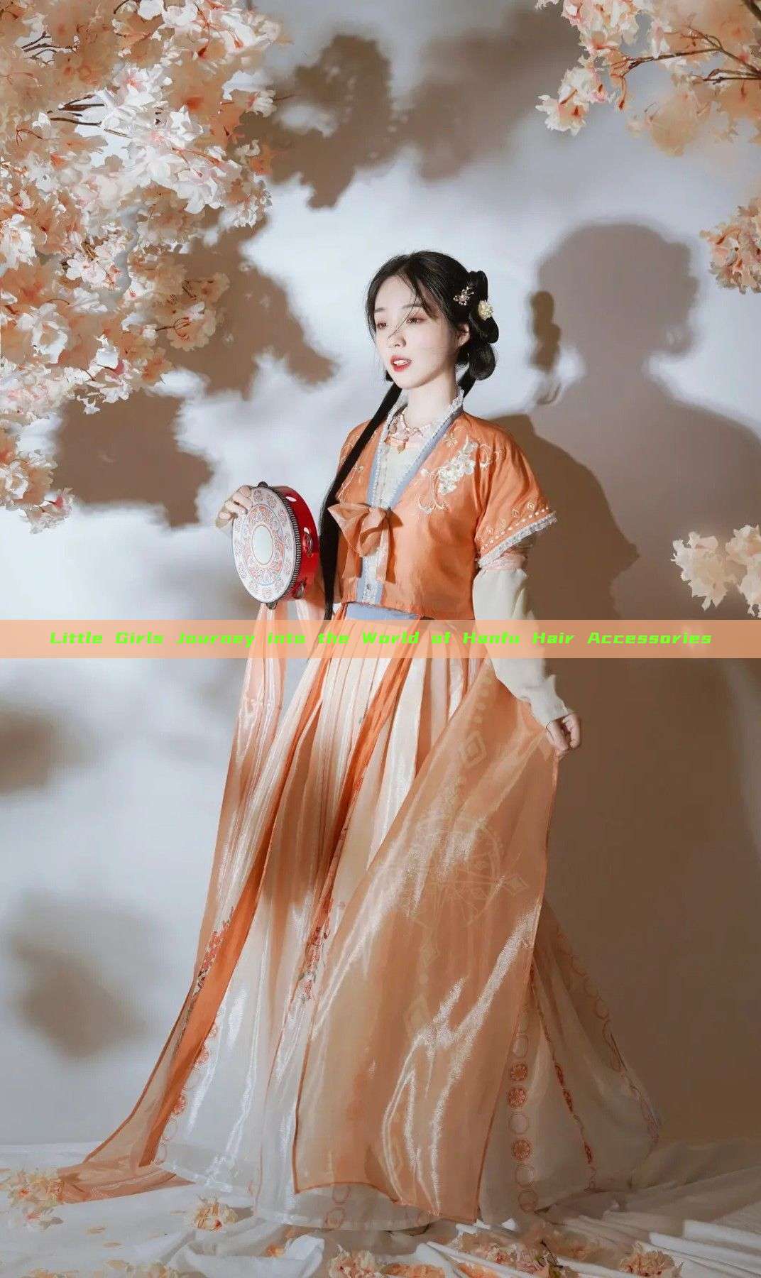 Little Girls Journey into the World of Hanfu Hair Accessories Little Girls Journey into the World of Hanfu Hair Accessories