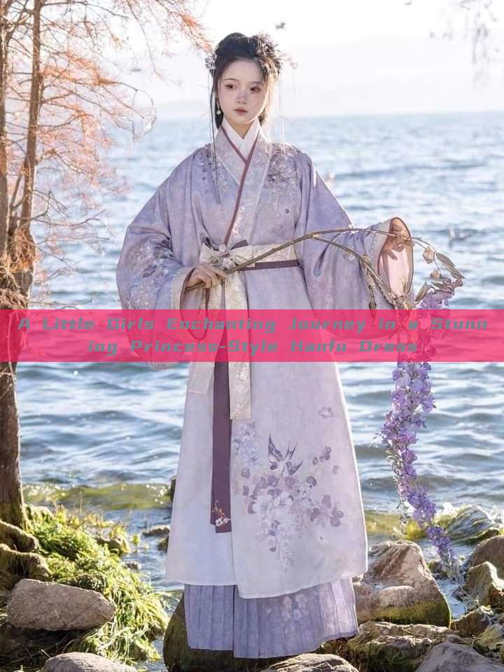 A Little Girls Enchanting Journey in a Stunning Princess-Style Hanfu Dress