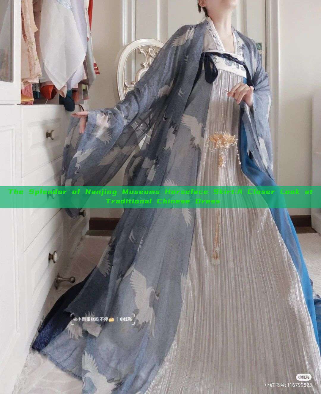The Splendor of Nanjing Museums Horseface Skirt:A Closer Look at Traditional Chinese Dress