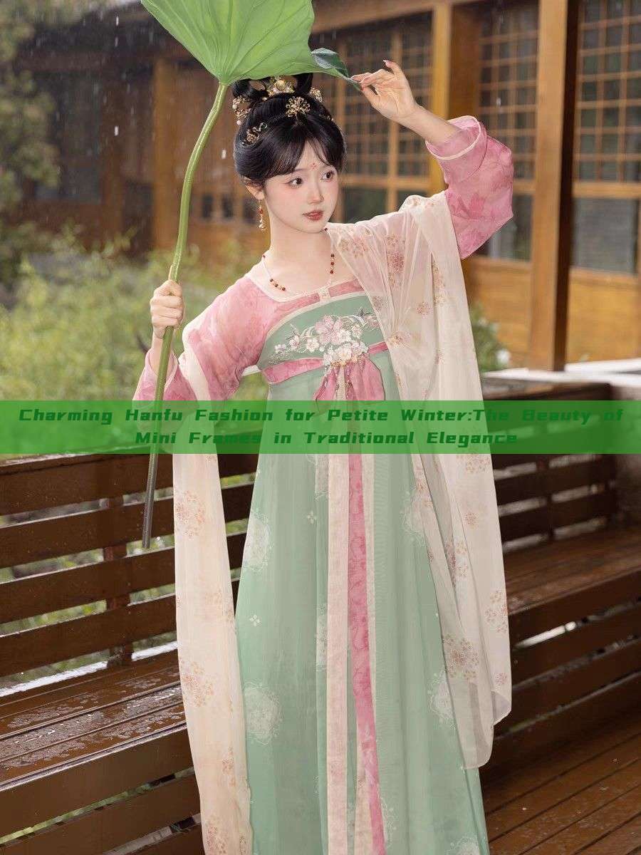 Charming Hanfu Fashion for Petite Winter:The Beauty of Mini Frames in Traditional Elegance