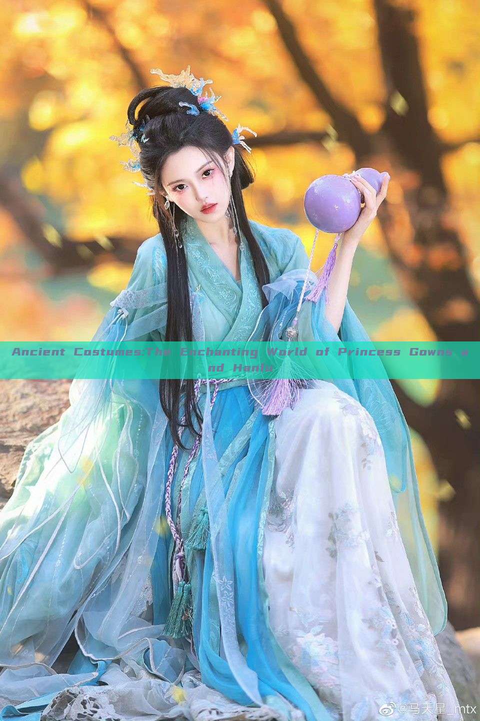 Ancient Costumes:The Enchanting World of Princess Gowns and Hanfu