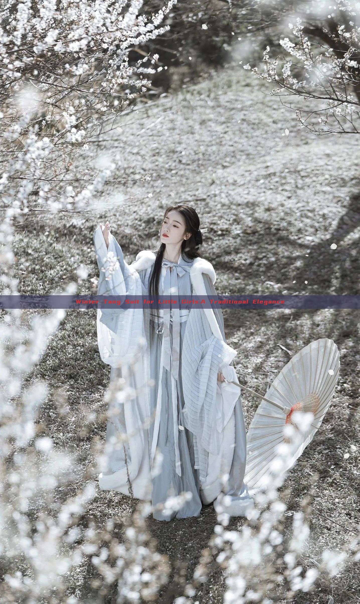 Winter Tang Suit for Little Girls:A Traditional Elegance Winter Tang Suit for Little Girls:A Traditional Elegance
