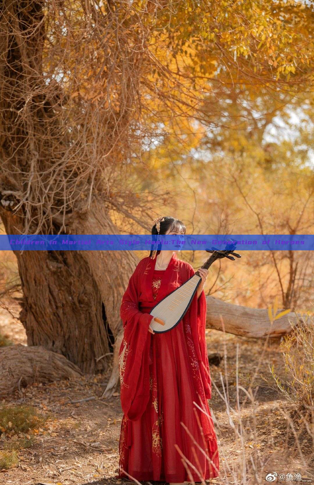Children in Martial Arts Style Hanfu:The New Generation of Heroes