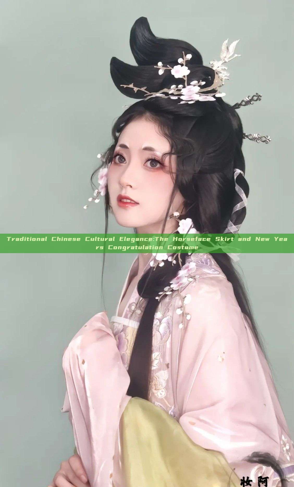 Traditional Chinese Cultural Elegance:The Horseface Skirt and New Years Congratulation Costume