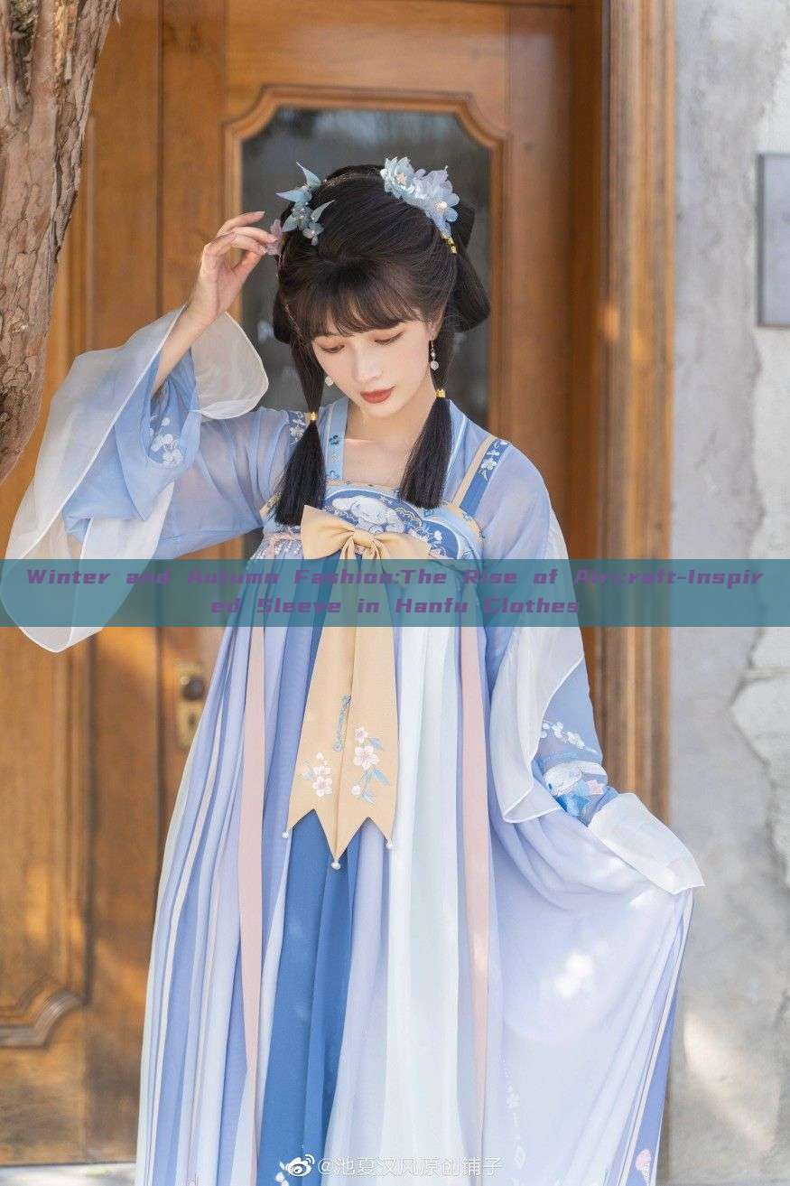 Winter and Autumn Fashion:The Rise of Aircraft-Inspired Sleeve in Hanfu Clothes
