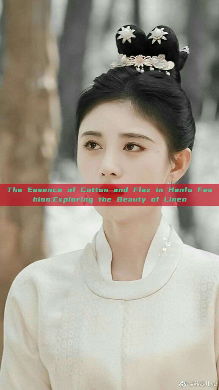 The Essence of Cotton and Flax in Hanfu Fashion:Exploring the Beauty of Linen