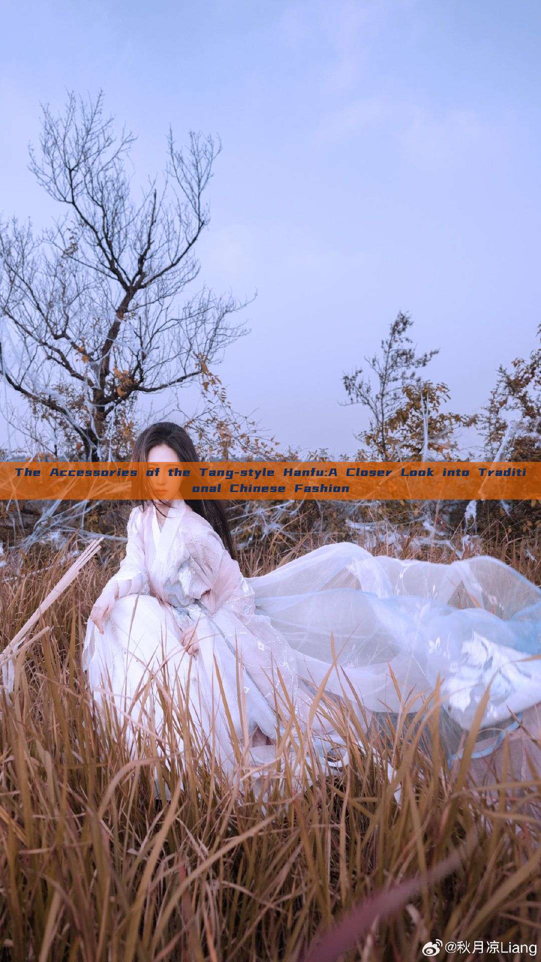 The Accessories of the Tang-style Hanfu:A Closer Look into Traditional Chinese Fashion