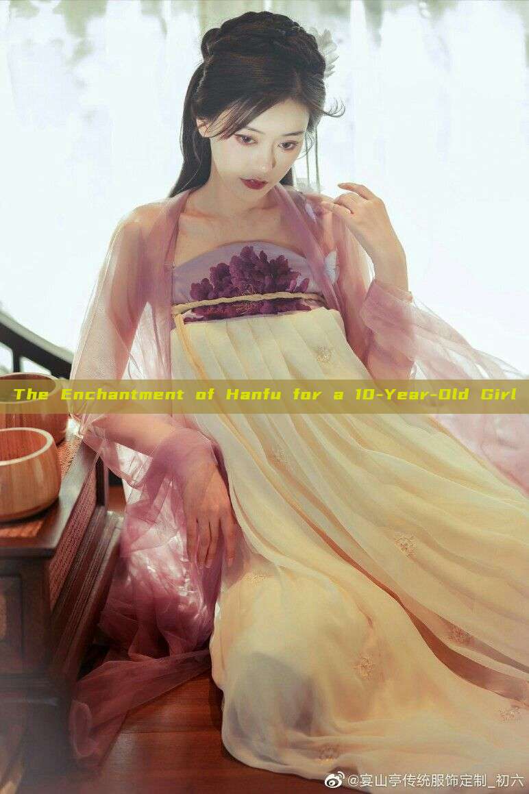 The Enchantment of Hanfu for a 10-Year-Old Girl