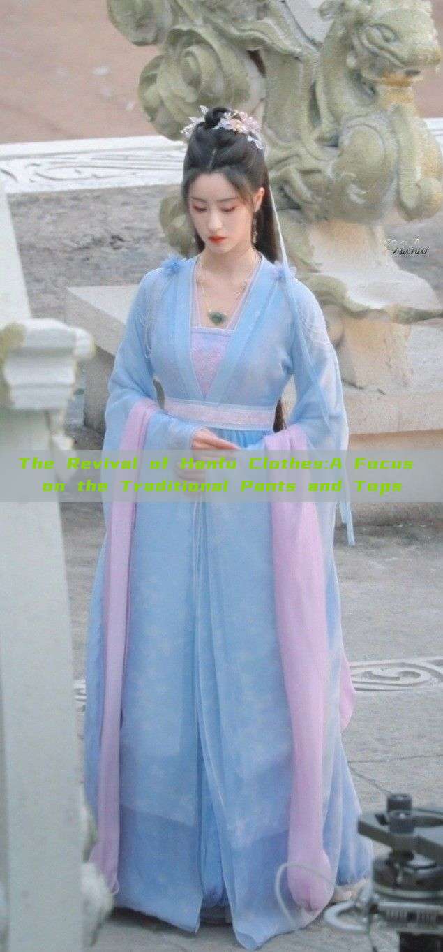 The Revival of Hanfu Clothes:A Focus on the Traditional Pants and Tops The Revival of Hanfu Clothes:A Focus on the Traditional Pants and Tops