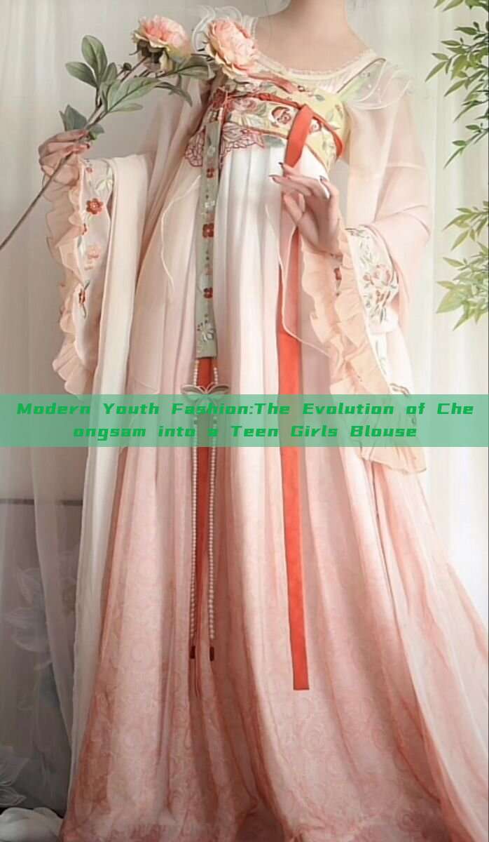 Modern Youth Fashion:The Evolution of Cheongsam into a Teen Girls Blouse