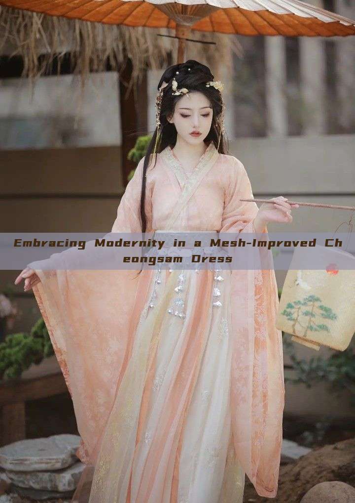 Embracing Modernity in a Mesh-Improved Cheongsam Dress