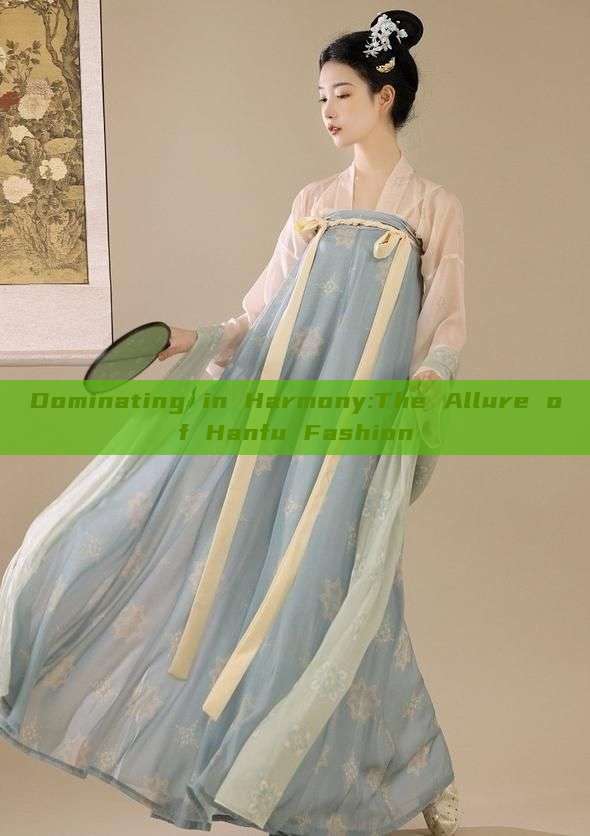 Dominating in Harmony:The Allure of Hanfu Fashion