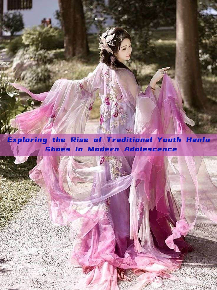 Exploring the Rise of Traditional Youth Hanfu Shoes in Modern Adolescence