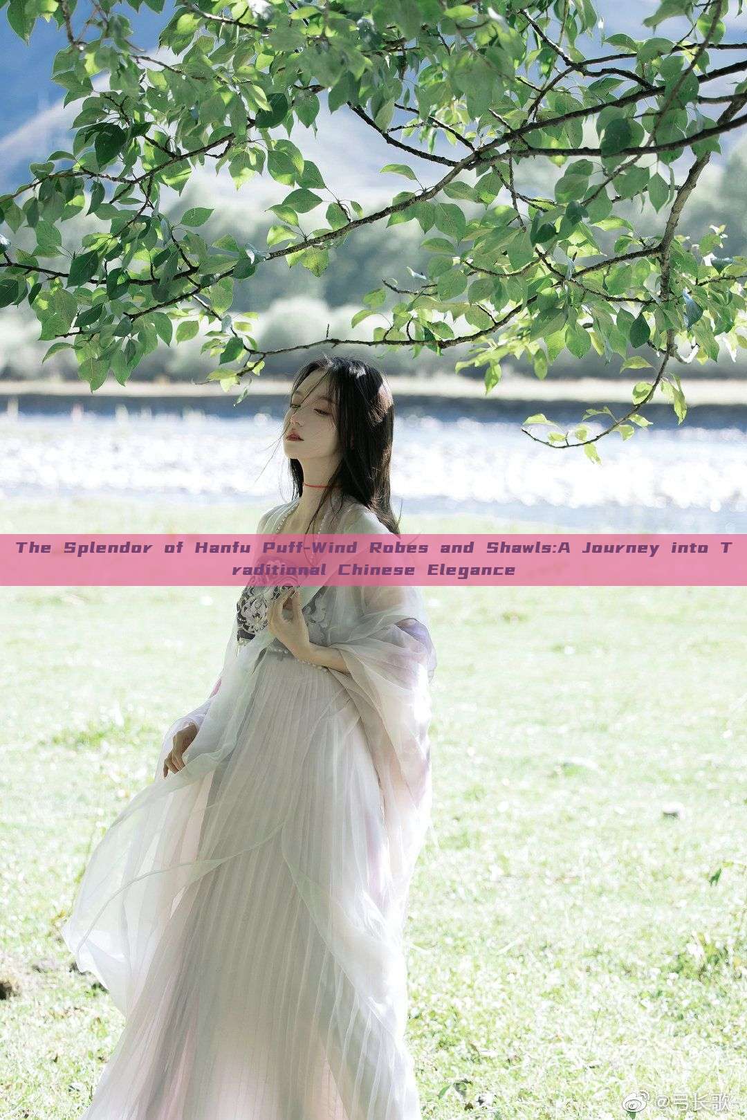 The Splendor of Hanfu Puff-Wind Robes and Shawls:A Journey into Traditional Chinese Elegance