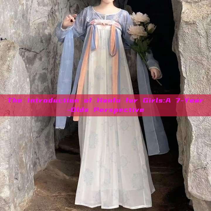 The Introduction of Hanfu for Girls:A 7-Year-Olds Perspective The Introduction of Hanfu for Girls:A 7-Year-Olds Perspective