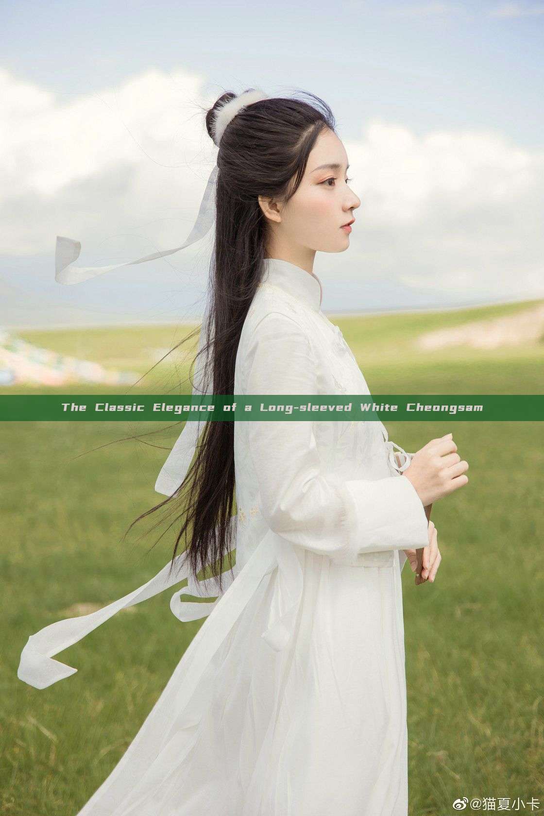 The Classic Elegance of a Long-sleeved White Cheongsam