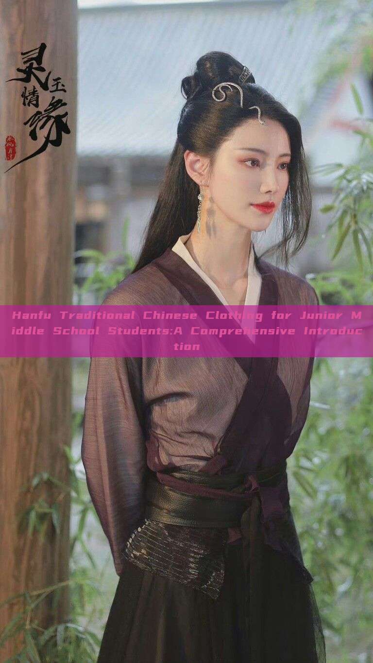 Hanfu Traditional Chinese Clothing for Junior Middle School Students:A Comprehensive Introduction