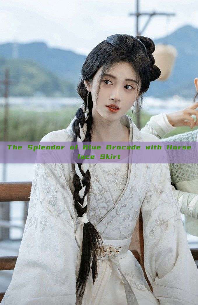The Splendor of Blue Brocade with Horseface Skirt The Splendor of Blue Brocade with Horseface Skirt