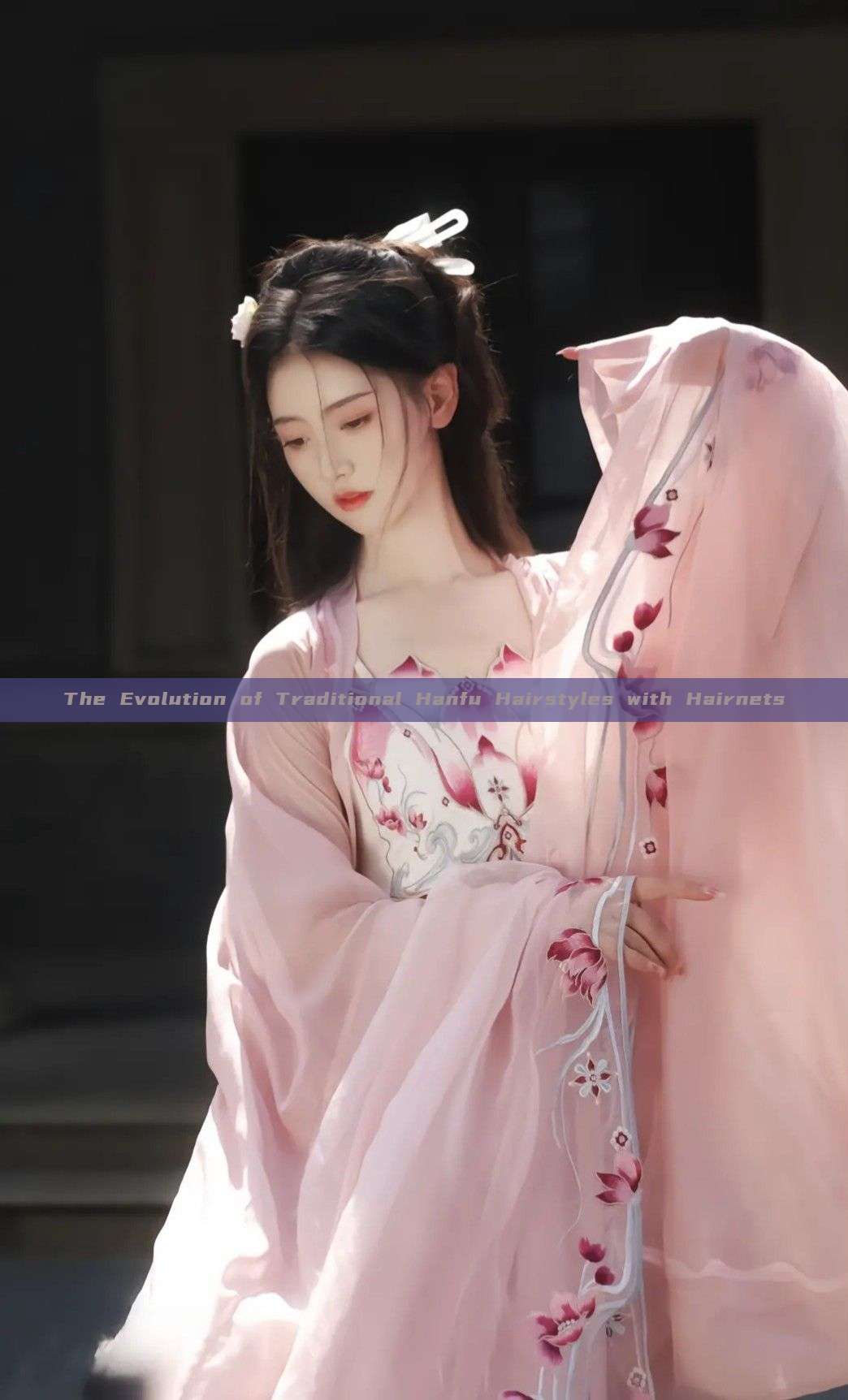 The Evolution of Traditional Hanfu Hairstyles with Hairnets
