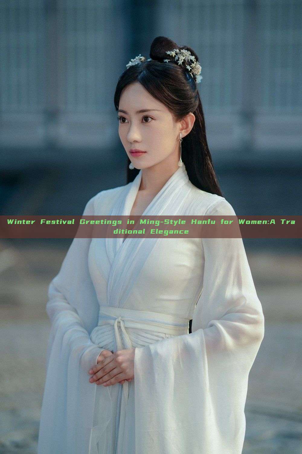 Winter Festival Greetings in Ming-Style Hanfu for Women:A Traditional Elegance Winter Festival Greetings in Ming-Style Hanfu for Women:A Traditional Elegance