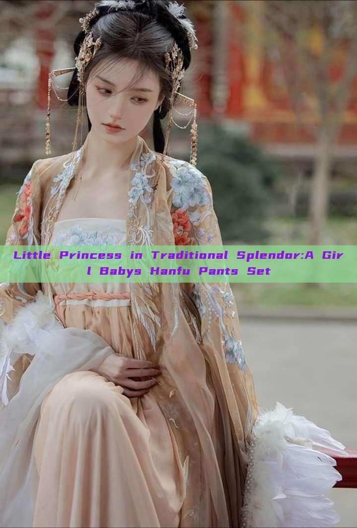 Little Princess in Traditional Splendor:A Girl Babys Hanfu Pants Set